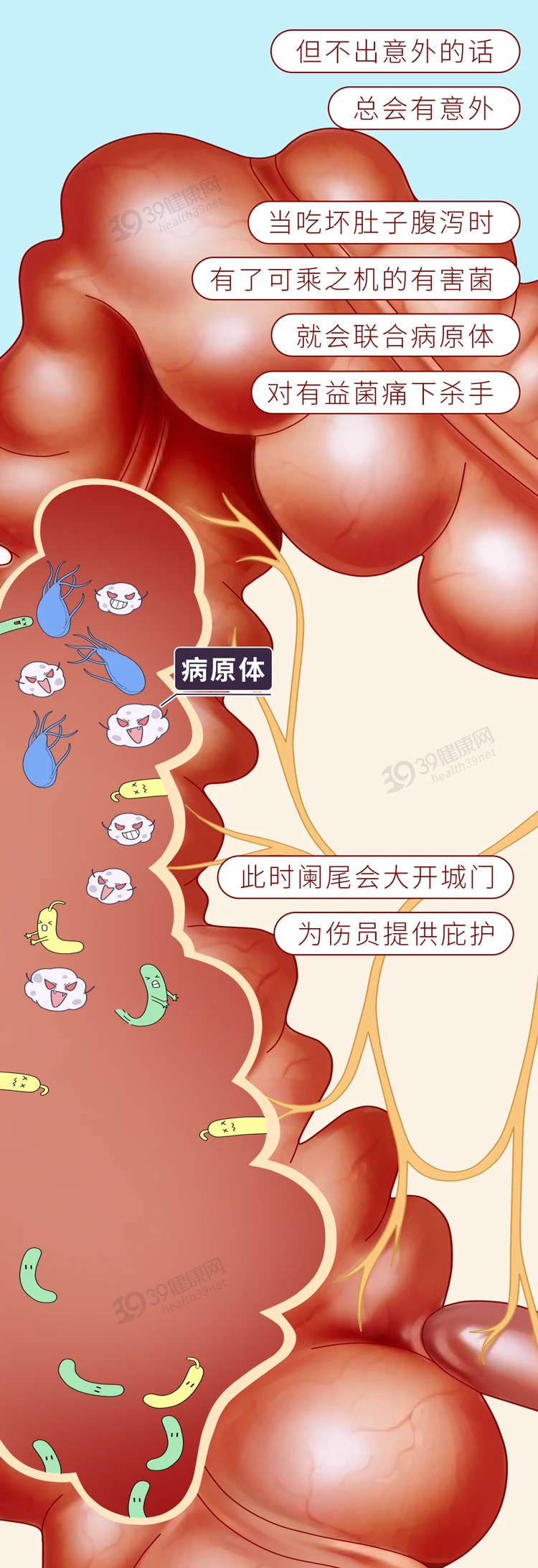 人体最没用的这个器官，切掉反而更好？