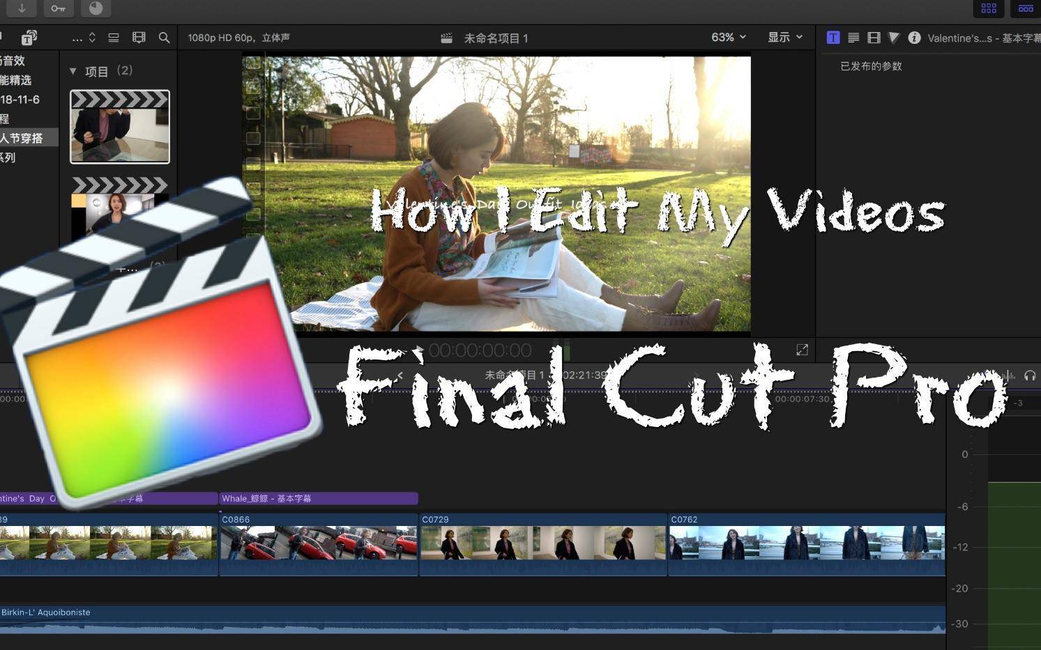 Final Cut Pro X for Mac v10.6.2 中文破解版下载 fcpx视频剪辑编辑软件 哔哩哔哩