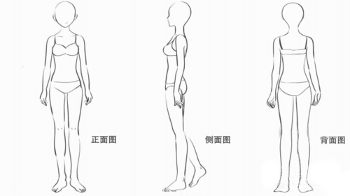 【教程】零基础初学入门画漫画身体部分教程学习