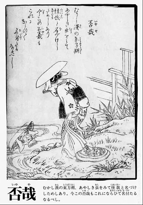 日本妖怪历史文化之否哉,怎么样,你一定没听过这位妖怪吧 哔哩哔哩