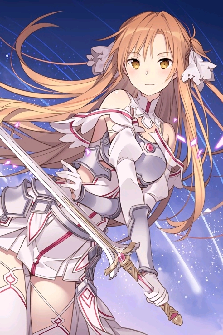 《刀剑神域 alicization》壁纸