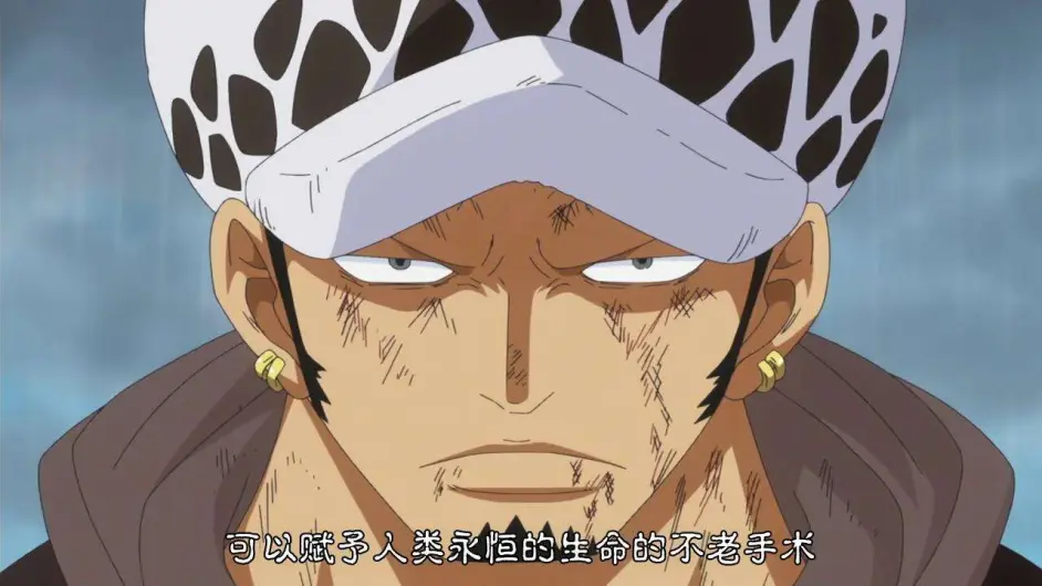 为何说即使五老星从未出手 也可以判断出他们几乎都有大将级实力 哔哩哔哩