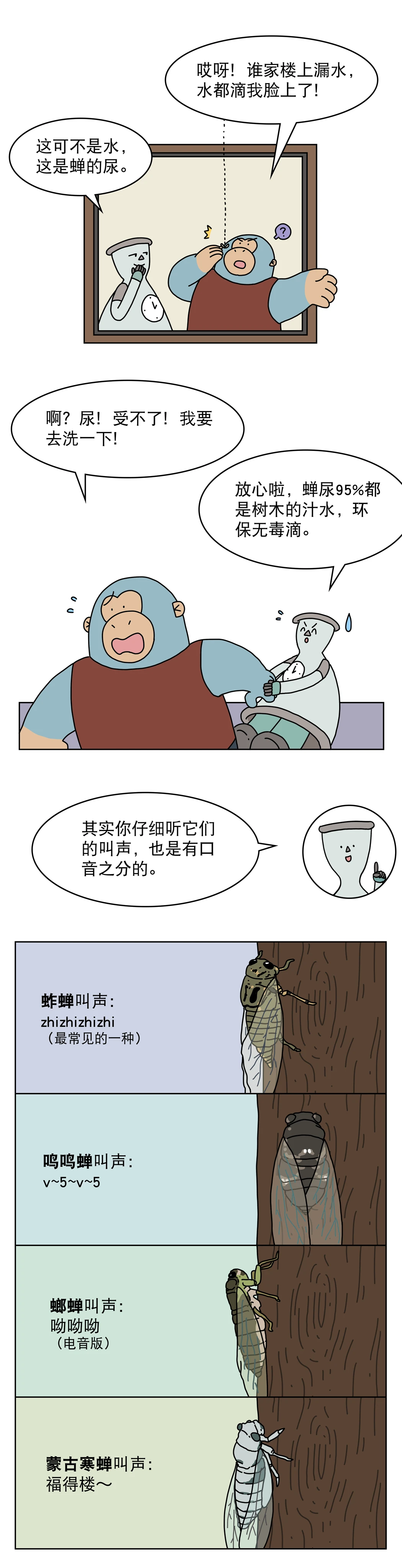 蝉为什么总是一起叫一起停3