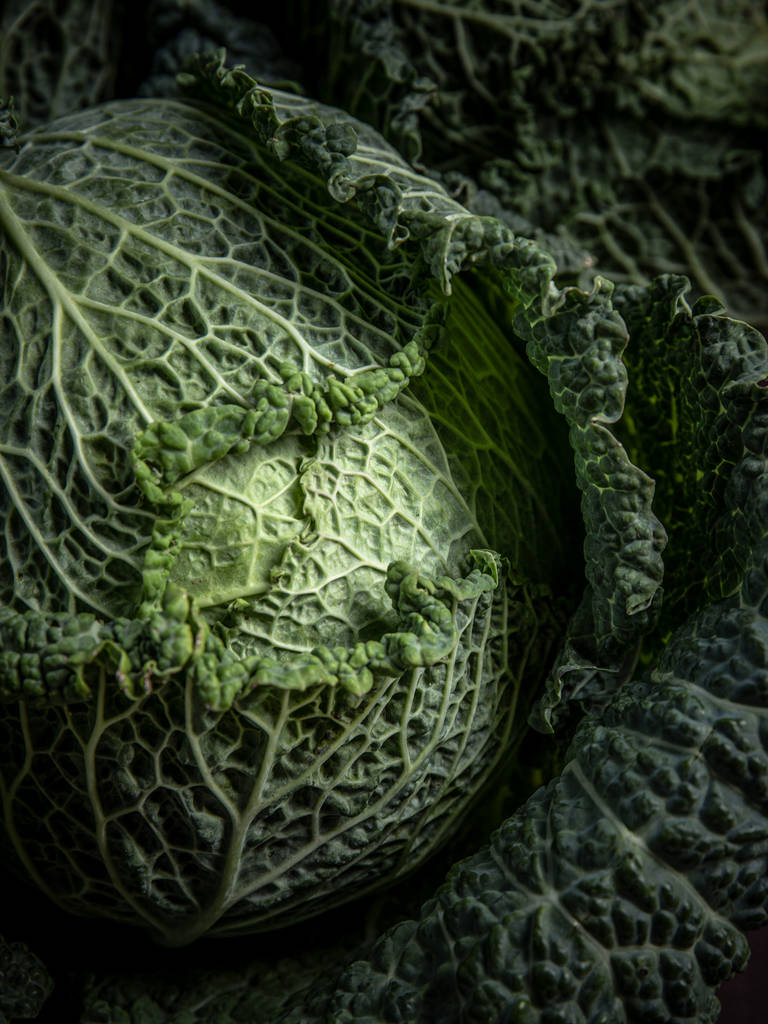 关于野甘蓝你应该知道的几件事