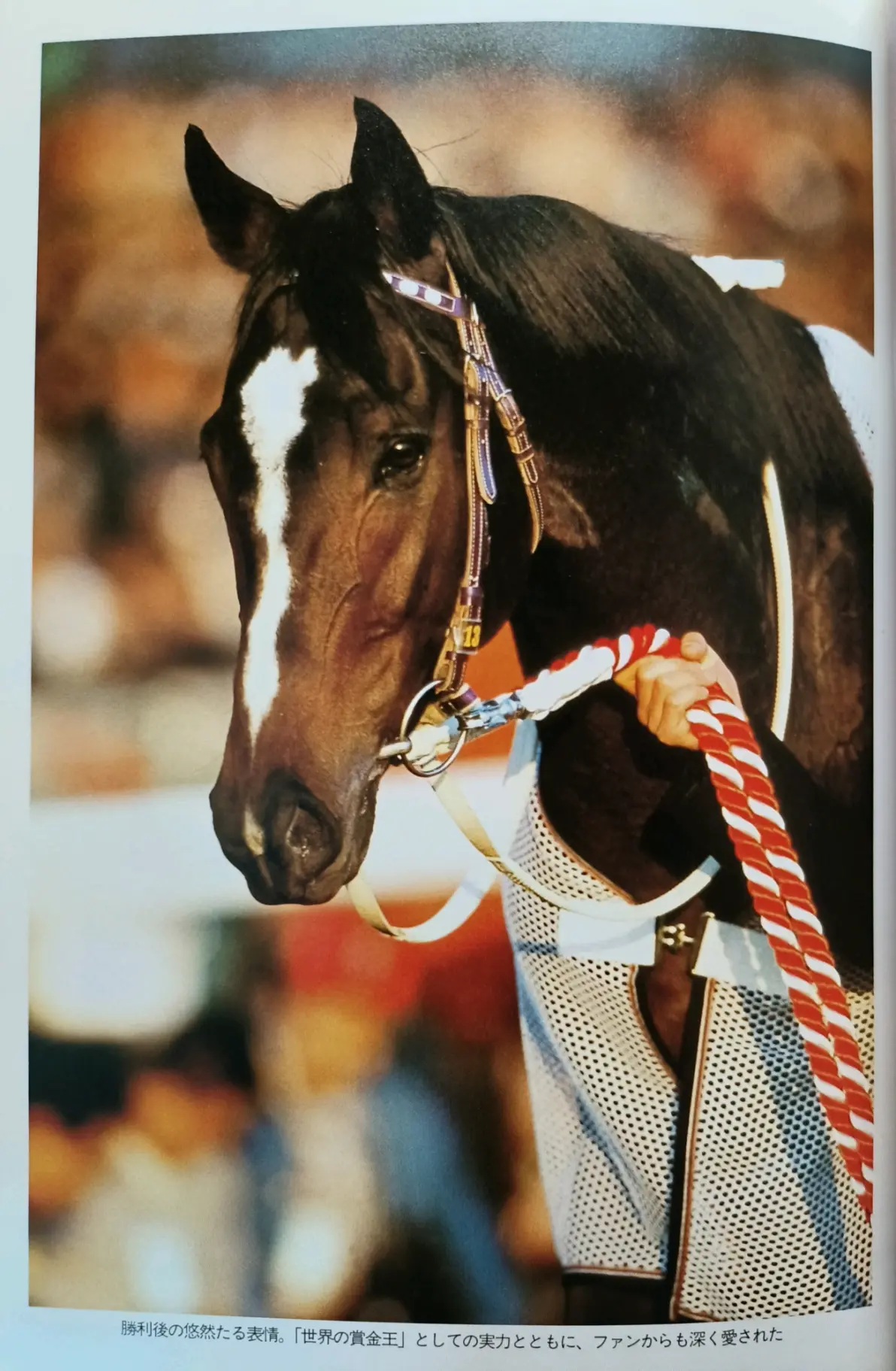 《特别周——最强马的证明》杂记