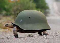 摩托车品牌排行_全球十大顶级摩托车品牌摩托车排名第一