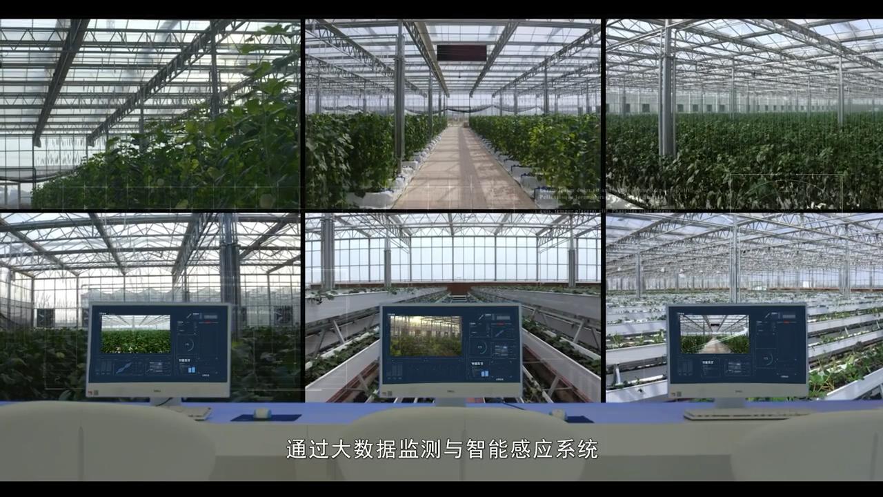 推动产业向低碳化转型