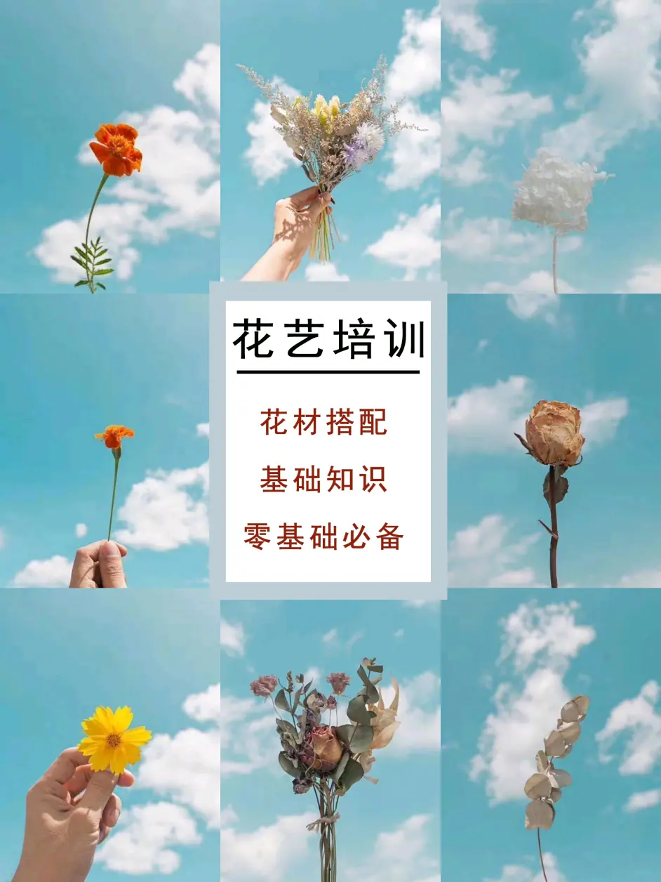 花艺培训 零基础学习花艺 必备花材搭配基础知识 哔哩哔哩 花艺培训 零基础学习花艺 必备花材搭配基础知识 哔哩哔哩