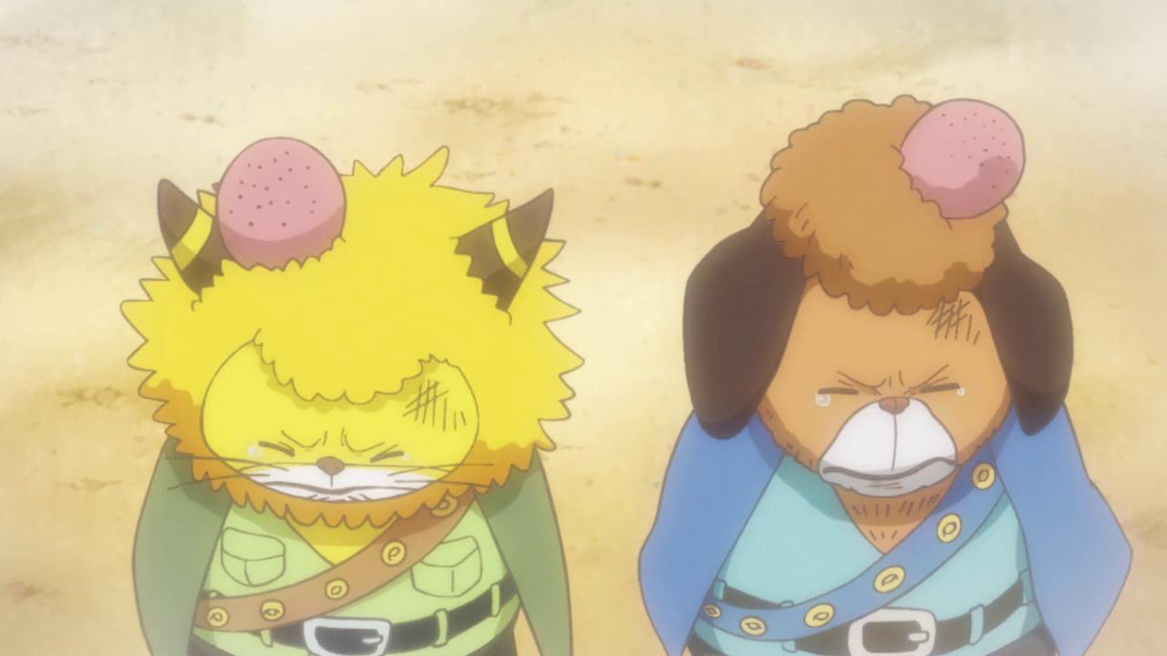 海贼王:尾田又在搞事情,小马哥与猫狗的对话暗藏玄机