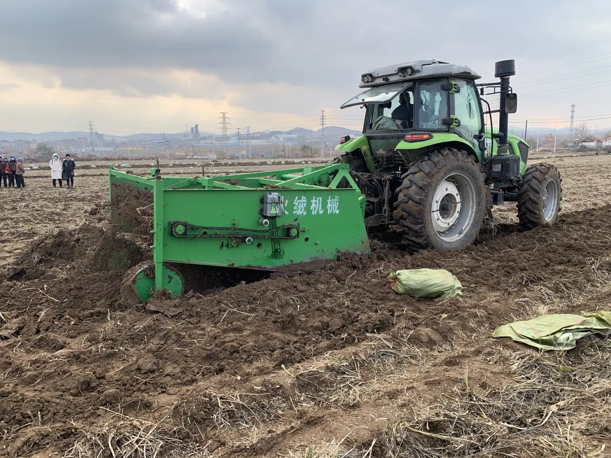 全自动菊芋收获机 挖掘洋姜机械 挖洋生姜机器 地姜挖掘机 鬼子姜收获