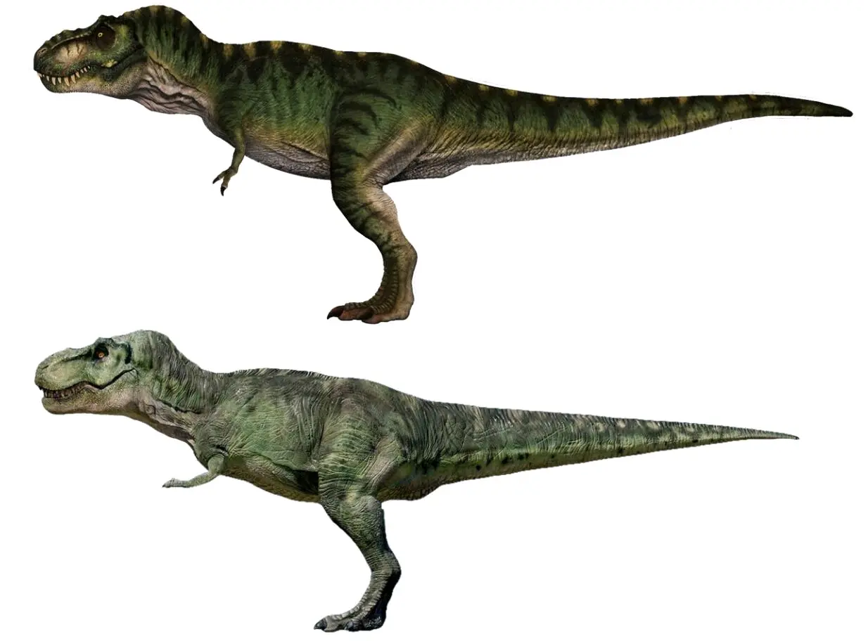 关于战神棘龙和jw3老奶奶(理智吹霸)