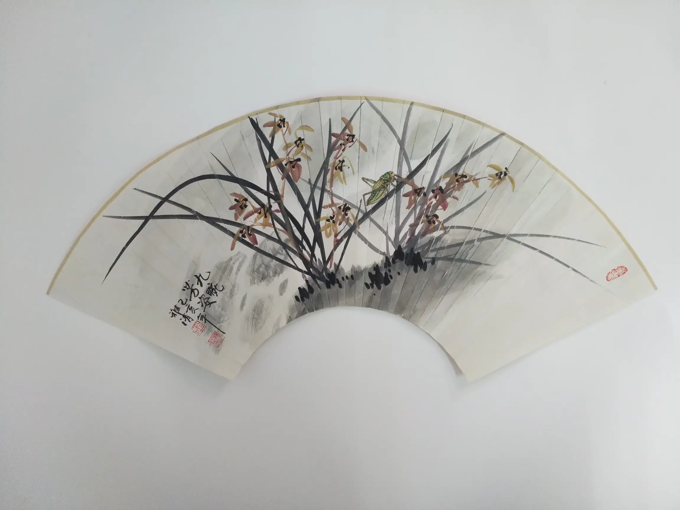 赵雅清10幅花鸟扇面,色彩鲜明,一幅更比一幅美 - 哔哩哔哩