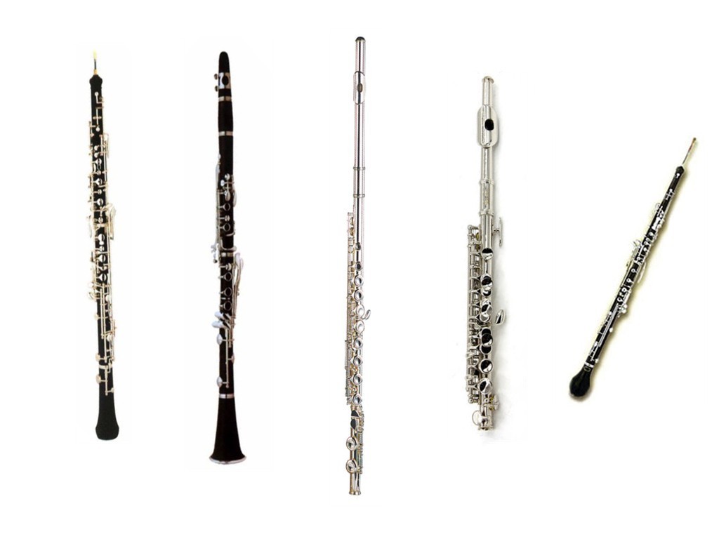 西洋管弦乐队木管组图片