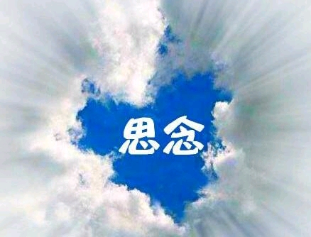 妈妈我想您了
