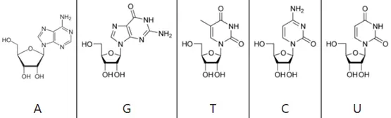 芳香性 4n 2的背后二 芳香化合物体系简介 多环 杂环 芳香性离子 哔哩哔哩