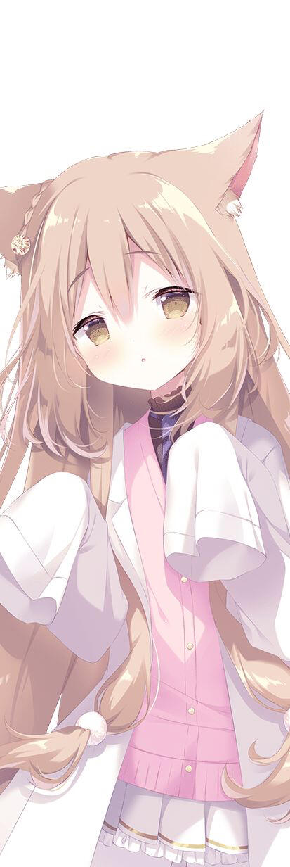 galgame社团介绍（第四期） 哔哩哔哩