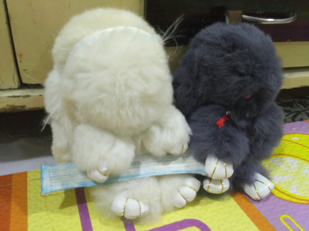 【忘羡兔小剧场1】如何拥有一对忘羡兔