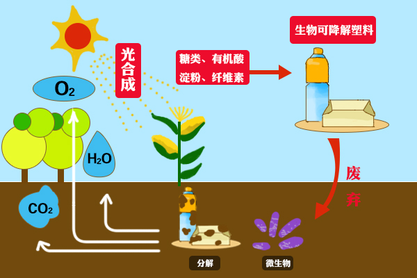 光/生物降解塑料,就是融合光降解塑料和生物降解塑料双重特点的塑料.