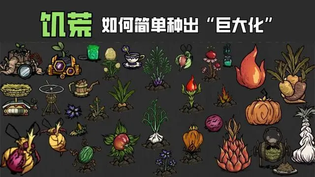 饥荒联机版 旧版农田已成过去式 新版耕地只需4步即可种出巨大化 哔哩哔哩