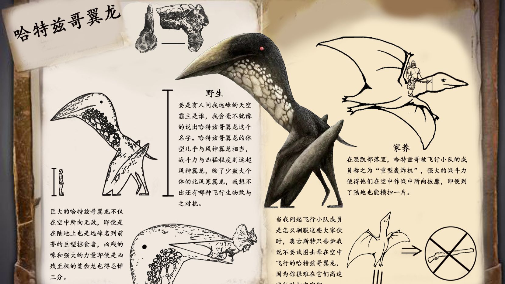 方舟自创生物 哈特兹哥翼龙 哔哩哔哩 方舟自创生物 哈特兹哥翼龙 哔哩哔哩