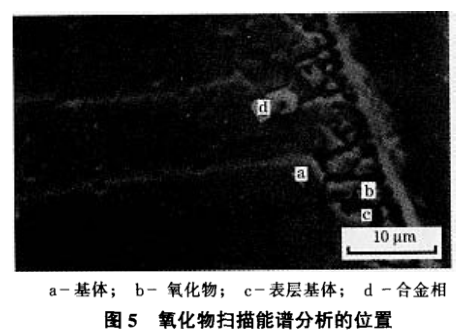 上海霆钢金属集团有限公司