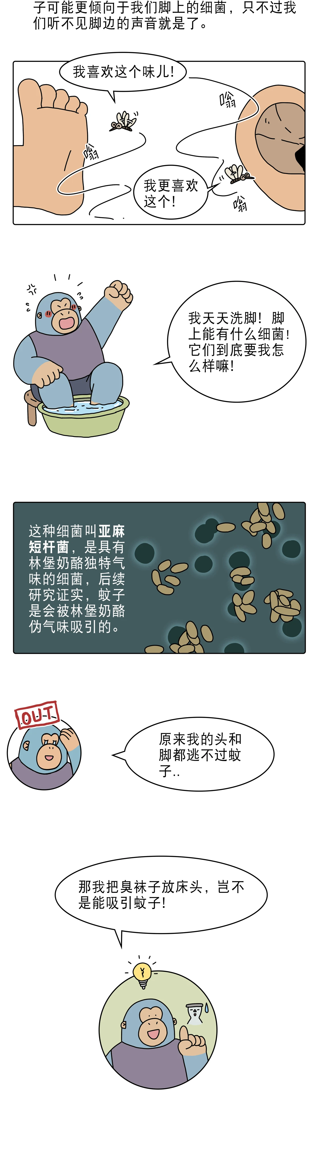 蚊子嗡嗡叫竟然是在做这种事6