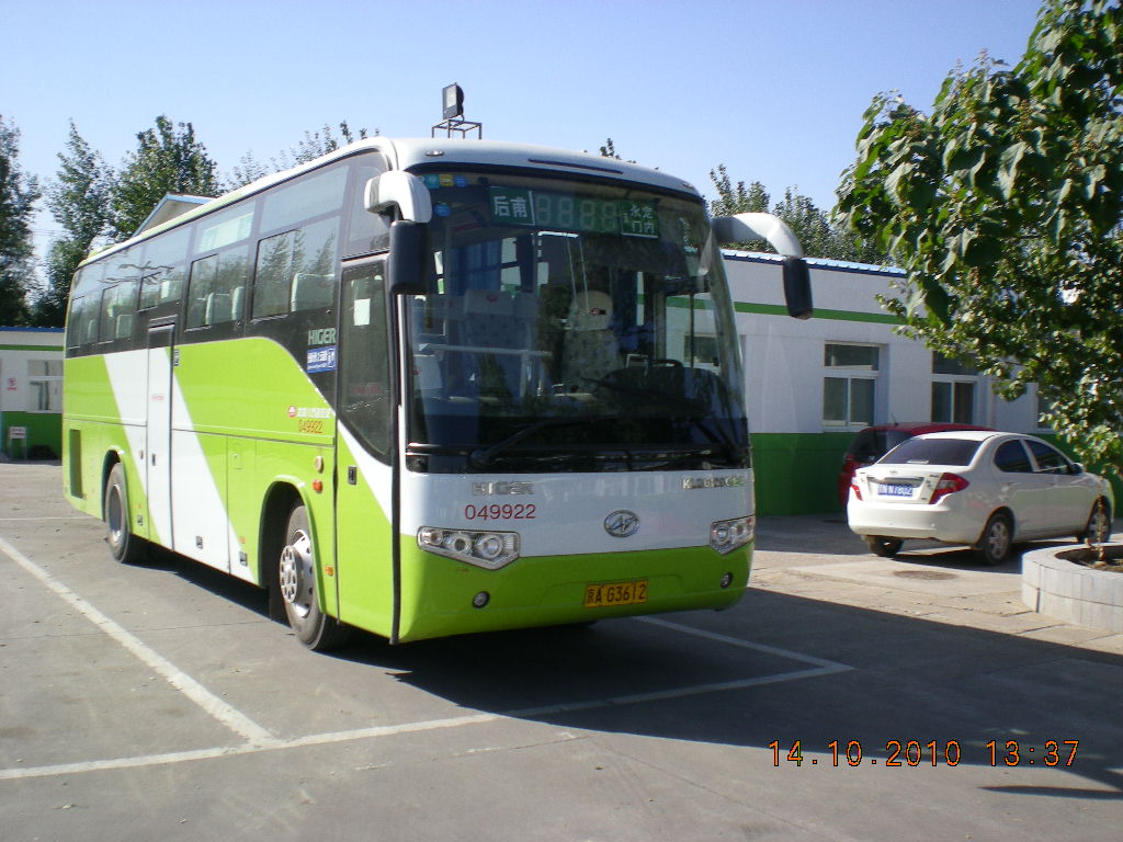 一棵藤上七朵花一北京926路家族的前世今生