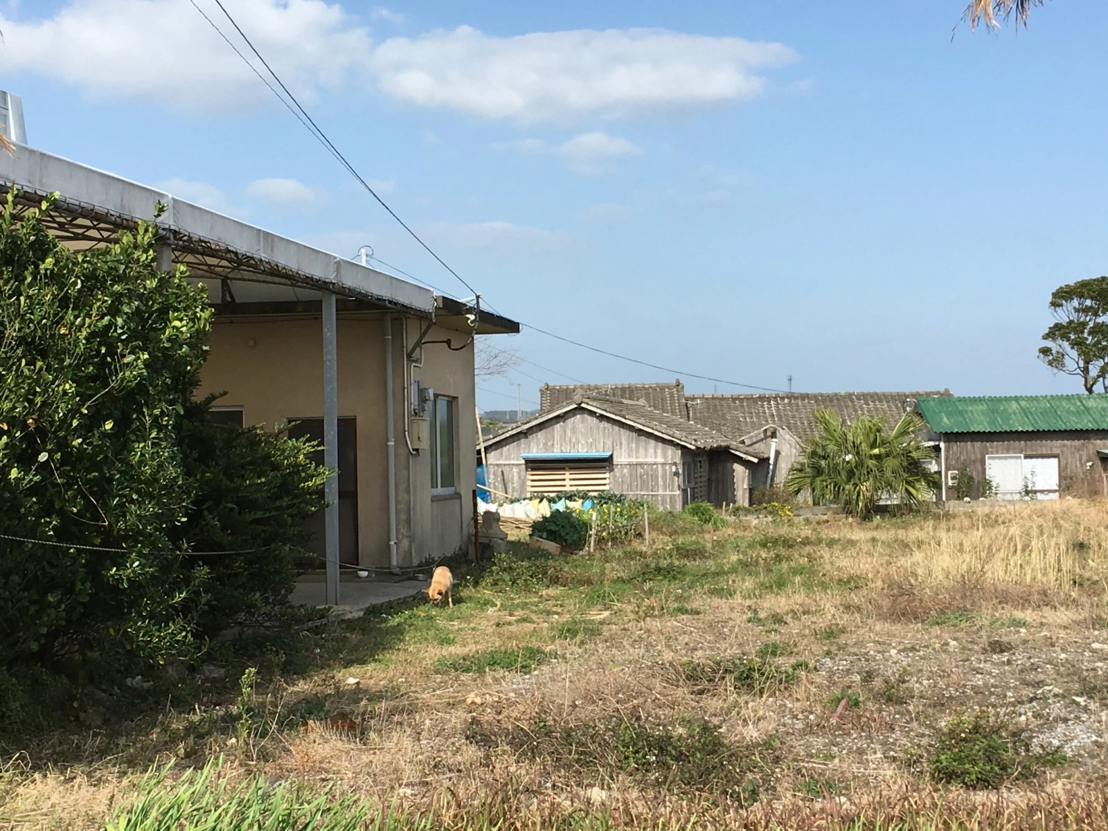 漂泊在日本各处不为人知的地方--种子岛篇