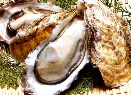 小贝壳不同的贝类的闭壳肌大小也不一样,当你吃生蚝的时候是不是看见