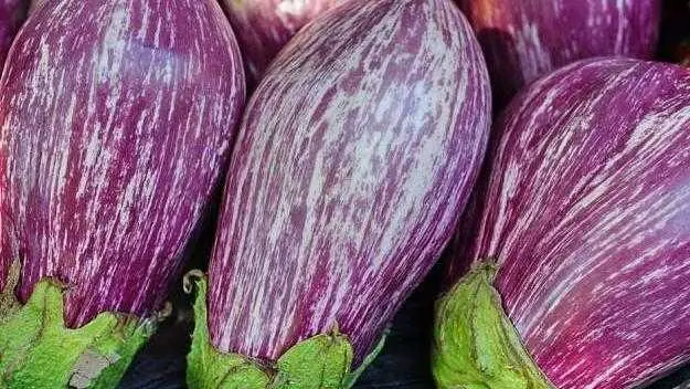 茄子的五种烹饪方法 总有一款适合你 值得收藏 哔哩哔哩