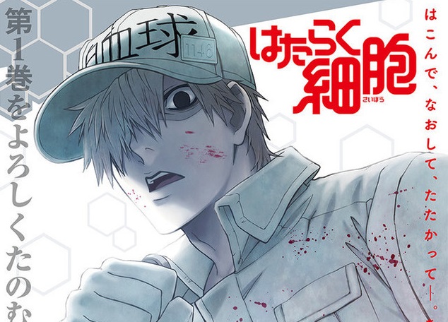 【工作细胞】:bilibili