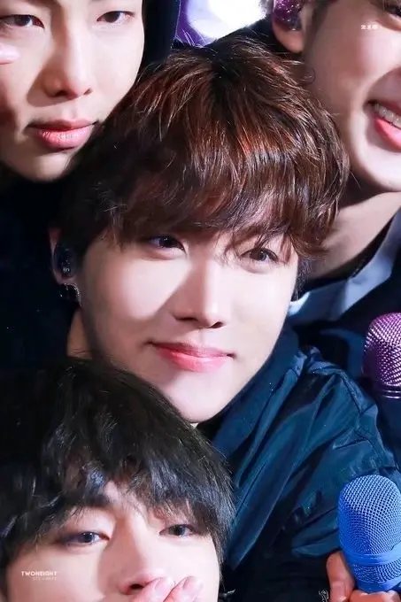 Bts 防弹少年团 花儿就是要被包围起来 哔哩哔哩