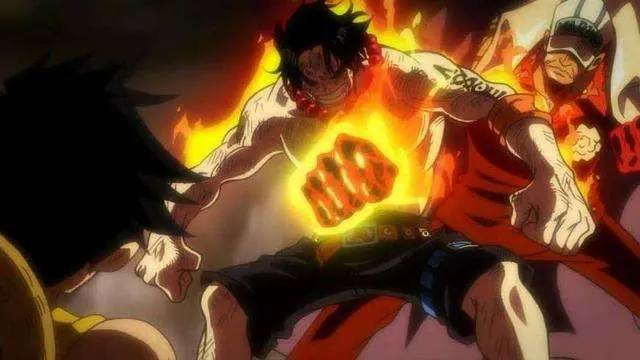 海贼王脑洞篇 草帽海贼团全员自然系恶魔果实能力者会发生什么 哔哩哔哩