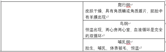 脊椎动物比较解剖学笔记 1 哔哩哔哩