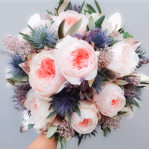 【搬运】【月季】sabrina 萨布丽娜