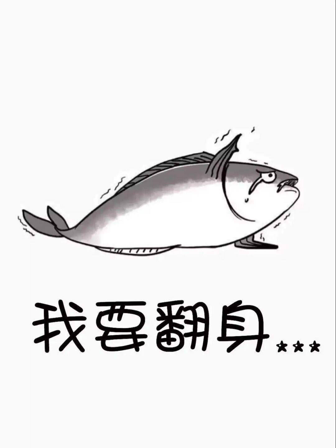 北海特产送礼红鱼干多种规格水产干货花丽鱼干深海咸鱼干海鲜干货-阿里巴巴