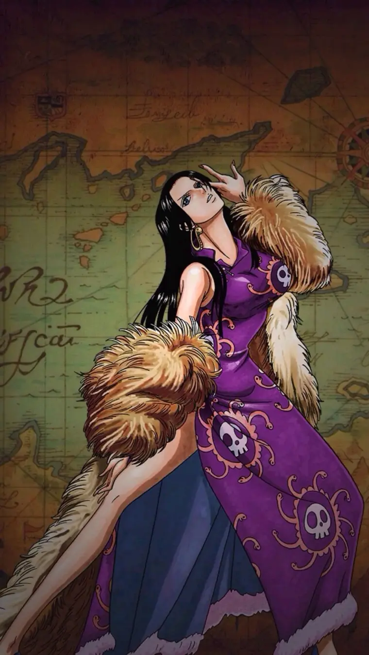 大和 波雅 汉库克 妮可 罗宾 娜美 哔哩哔哩