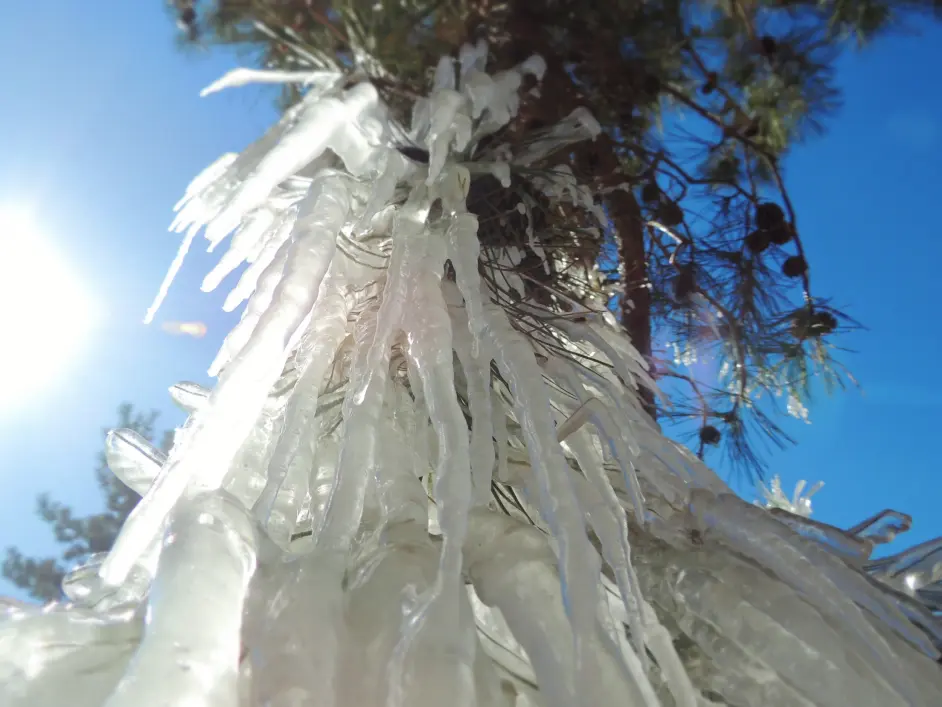 听 花语 春天与冬天 那些在我们身边被我们错过的美景 哔哩哔哩