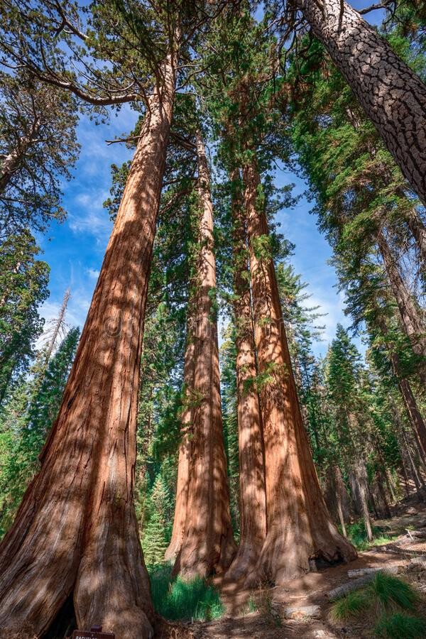 Lana Del Rey 诗集VBBOG翻译 Pt11. My bedroom is a sacred place now 哔哩哔哩