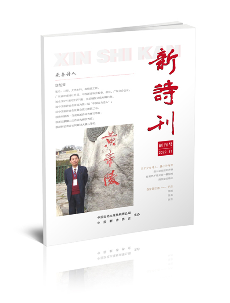 中国文化出版社:《新诗刊》 - 哔哩哔哩