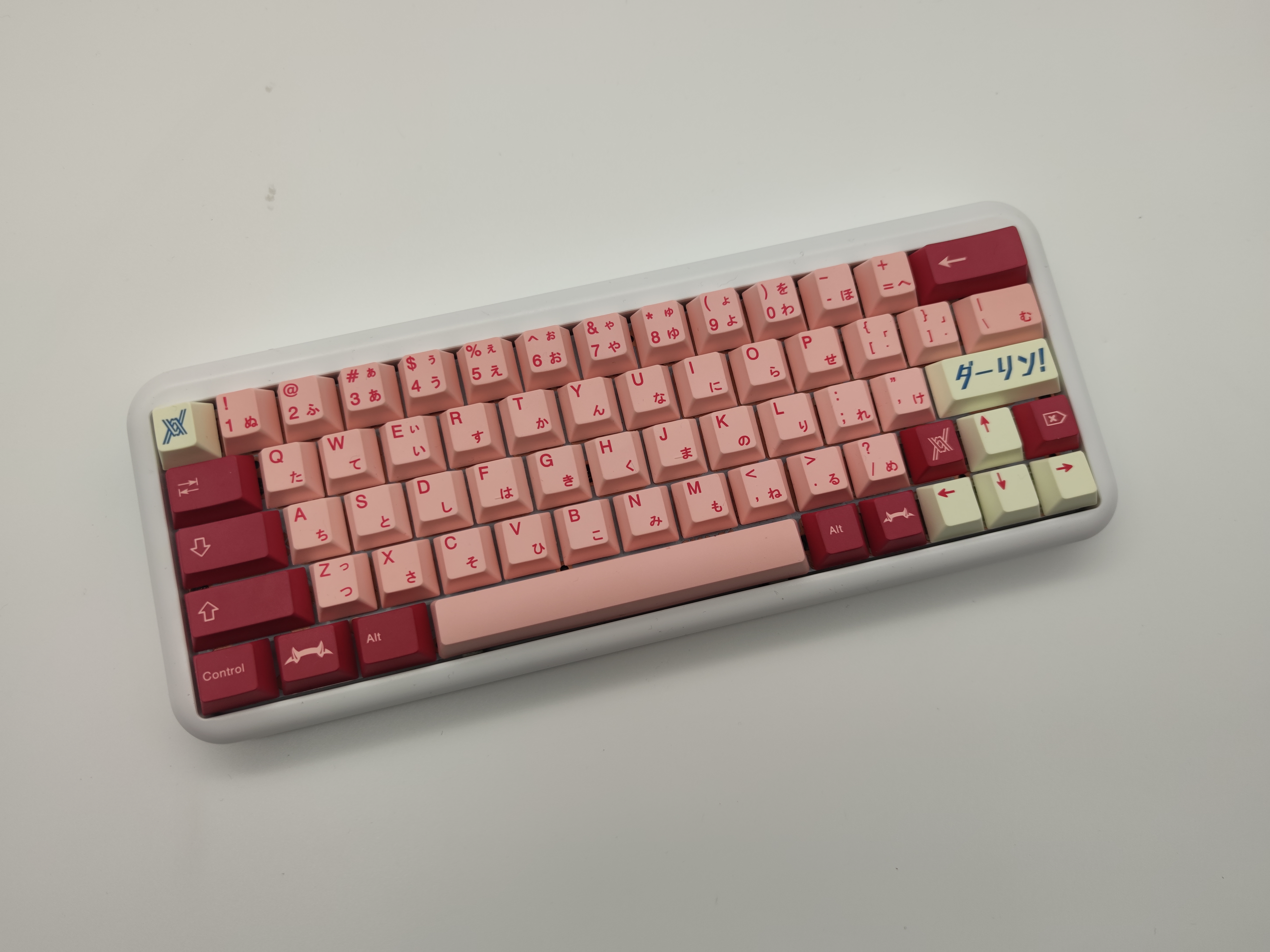 日键圈时刻表ikkiaurora明日十二点开团彩透轴消息公布