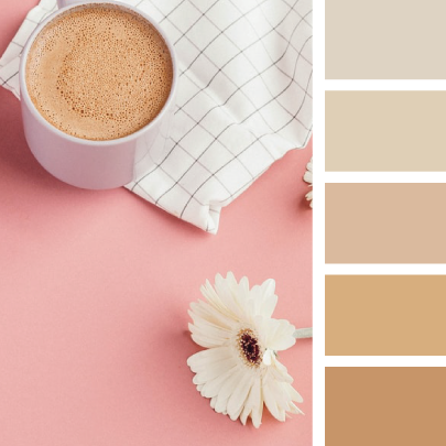 柔和色系40种配色超级实用