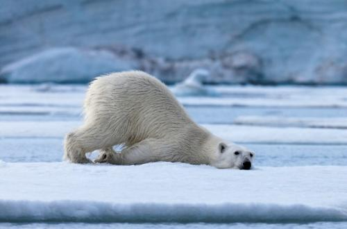 夏日清凉大作战