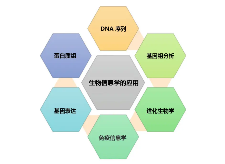 二代测序技术中生物信息学的应用 哔哩哔哩