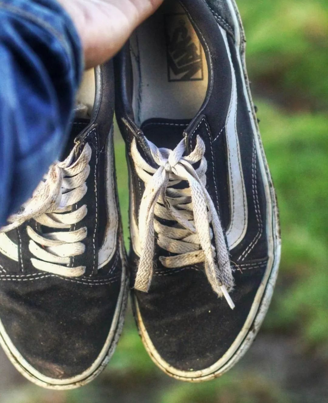 WTF!我妈竟然把我的CONVERSE和VANS洗的