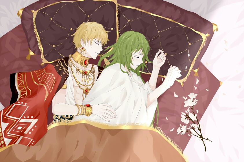 pixiv fgo金皮卡美图