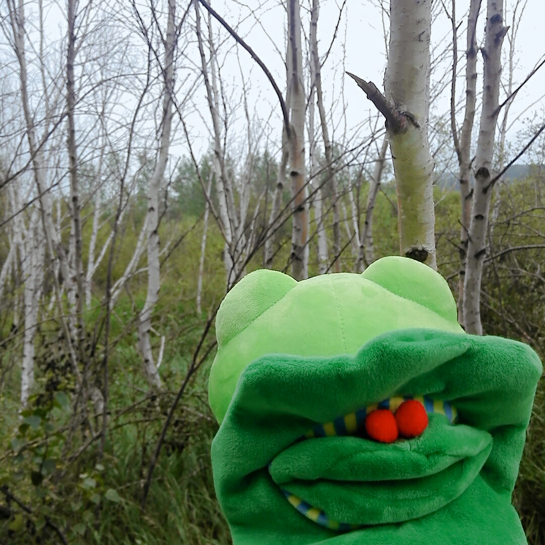 [防弹少年团|95]若葉之年