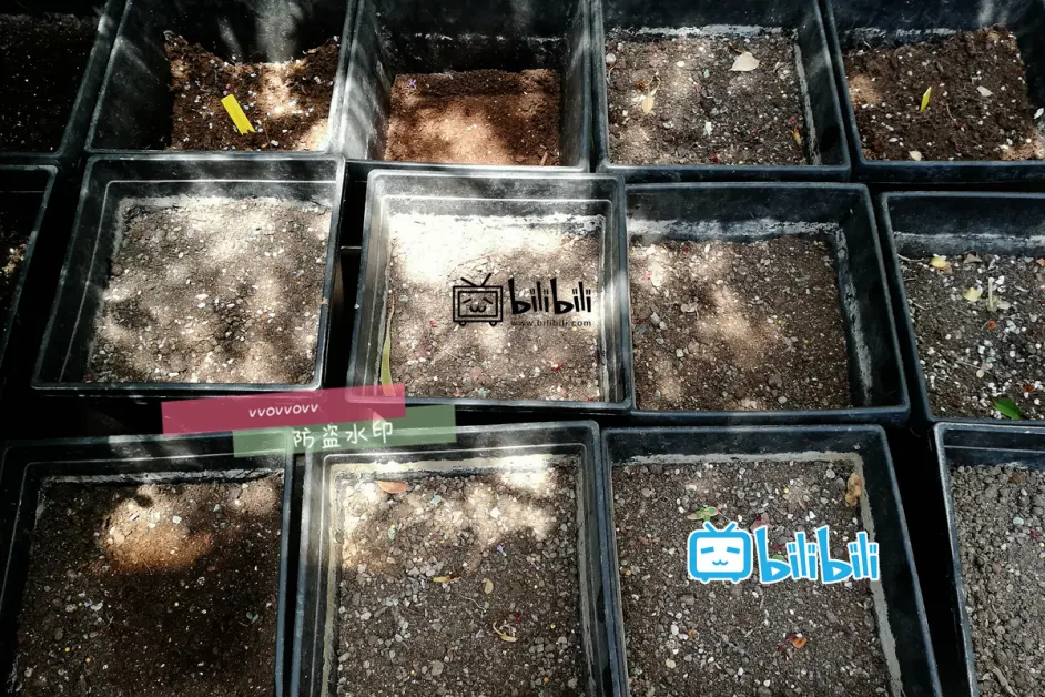 旧土保存 文字版 哔哩哔哩