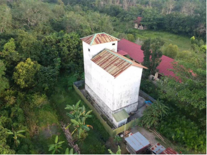 自产,自检,自营三步走 燕彩汐多维度品质进阶 缔造印尼燕窝佳话