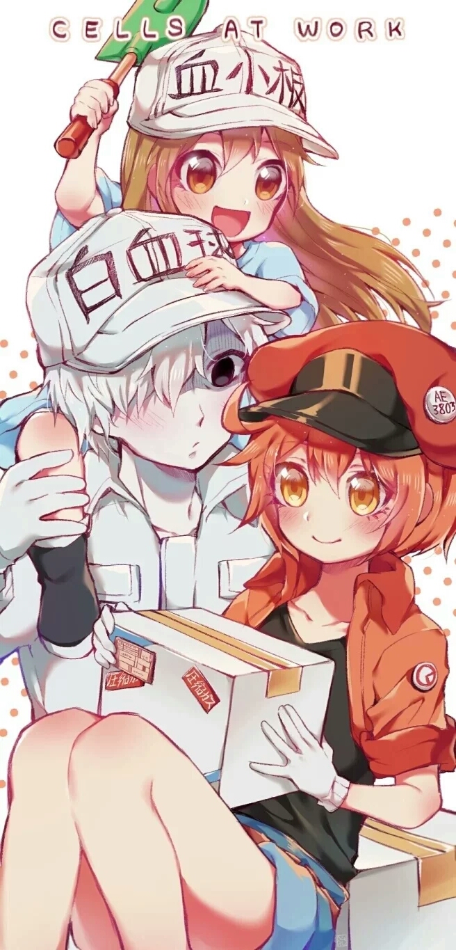 工作细胞同人图